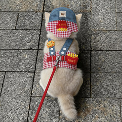 Summer Cat Clothes Outdoor Harness Leash Set Ragdoll Gold Gradient Dog Sun Hat Dog Walking Leash