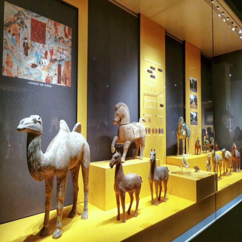 西安兵马俑/西安博物院/小雁塔/回民街,纯玩/不散拼/司兼导