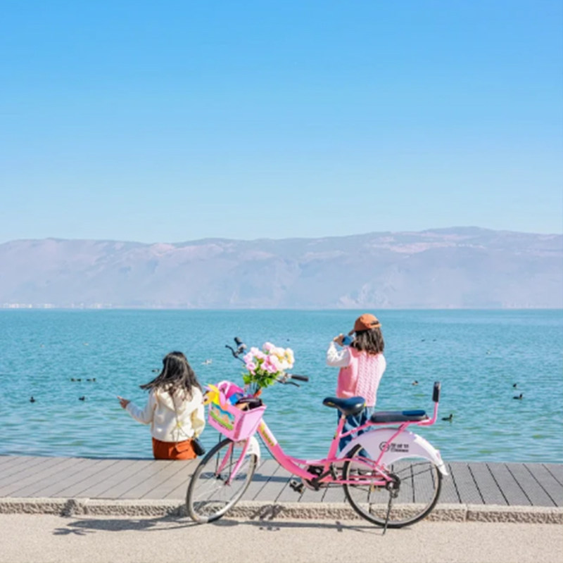 云南昆明丽江大理 |沙溪洱海喜洲玉龙雪山云杉坪含衣氧省内双动