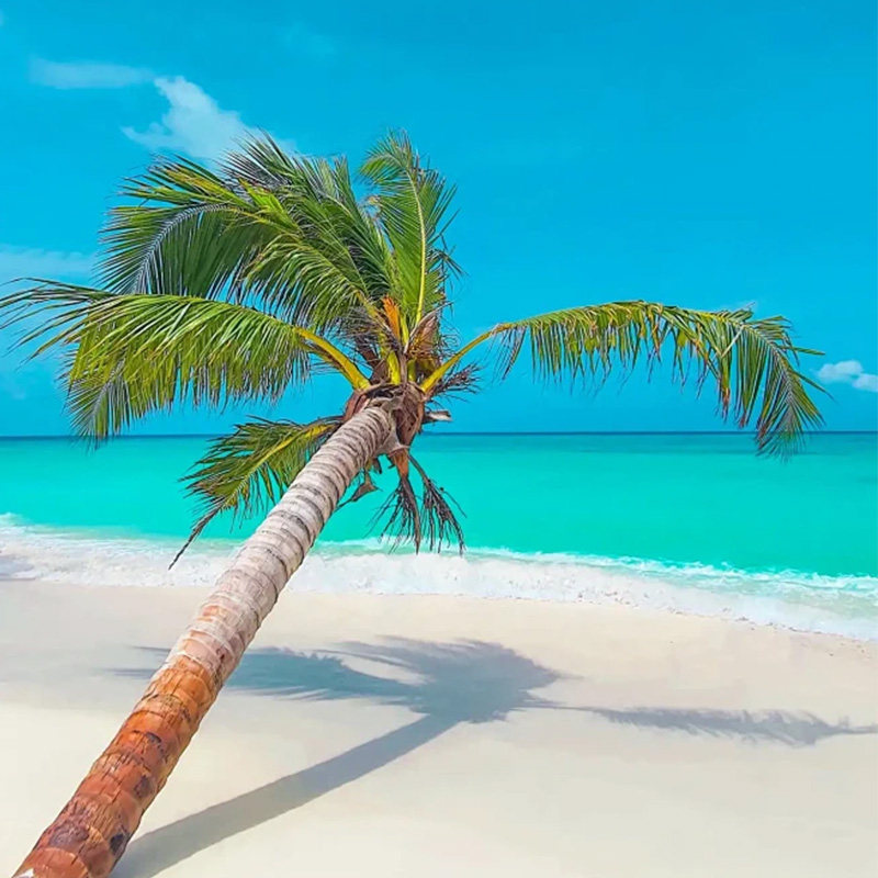 海南三亚私家游艇出海 | 亚特兰蒂斯水世界5天4晚旅游0购物