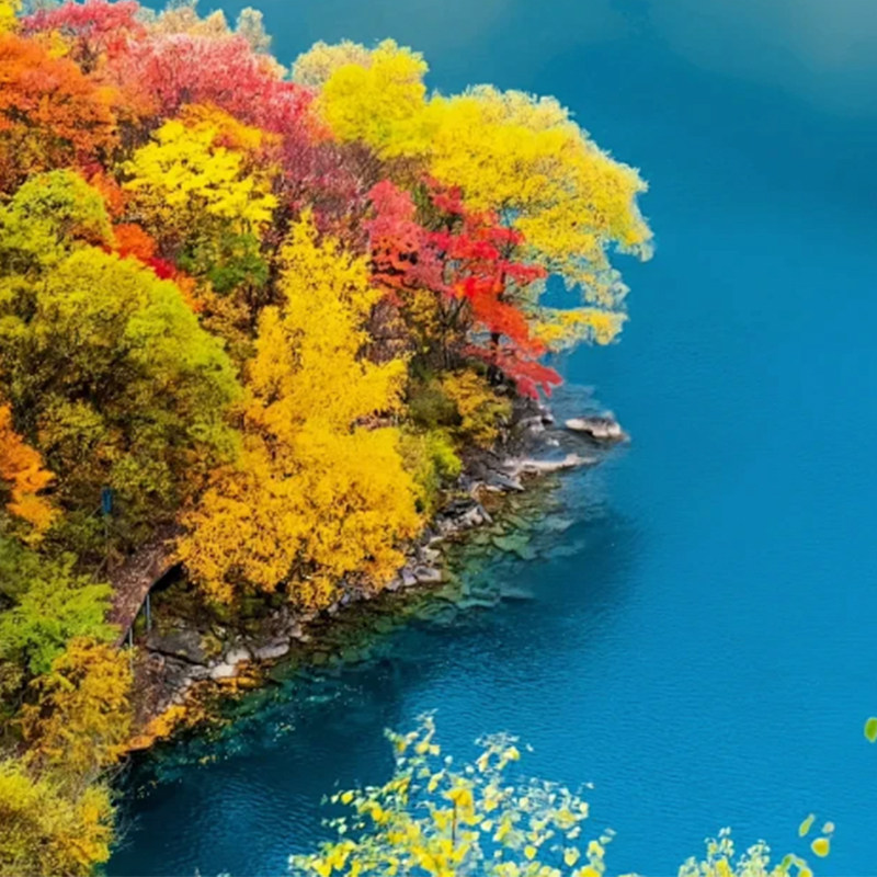 四川纯玩6天旅游8人内mini团 |九寨沟黄龙四姑娘山三星堆藏式晚会