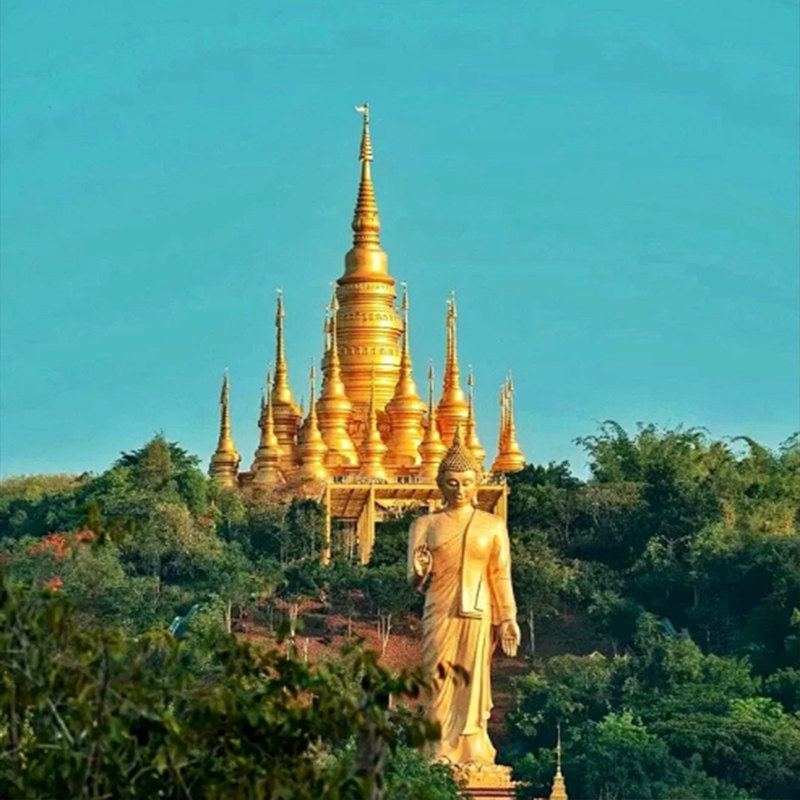 单人拼住| 云南旅游6天5晚昆明大佛寺普洱森林公园西双版纳野象谷