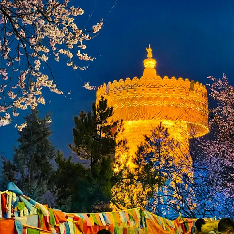 云南旅游8天7晚 大理洱海昆明丽江香格里拉/泸沽湖二选一|4钻酒店