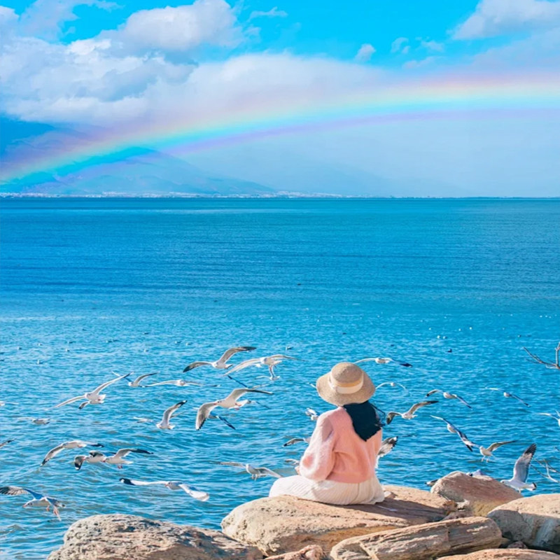 2+1保姆车-云南旅游8天纯玩昆明大理丽江西双版纳双飞三动含导游