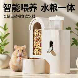 Hamster automatic feeding golden bear water fountain 2-in-1