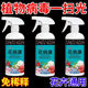 Genuine Huabingkang plant and flower universal dilution-free direct spray home gardening flower insecticide