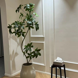 Large Leaf Umbrella Artificial Green Plant, High-End Light Luxury Living Room, Bionic Large Floor-Standing Atmosphere Tree, Green Plant Next to the Sofa