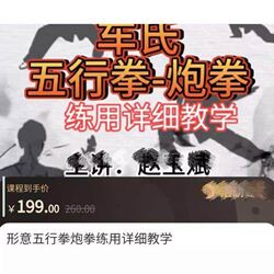 New Kung Fu Lessons: Detailed Instruction on Xingyi Quan, Five Elements Quan, and Cannon Quan