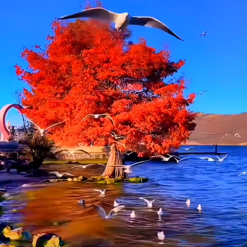 云南大理丽江5天4晚|15人小团|住海景+客栈|洱海雪山|短假纯游玩