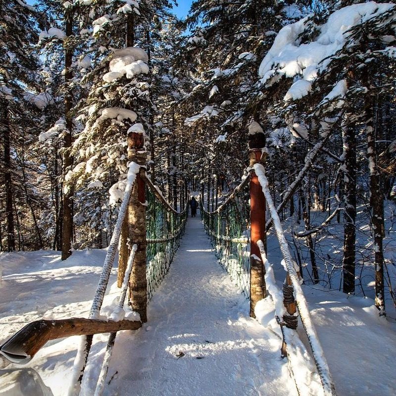 延吉出发长白山1日游私家团包车 长白山北坡天池 省心游亲情服务