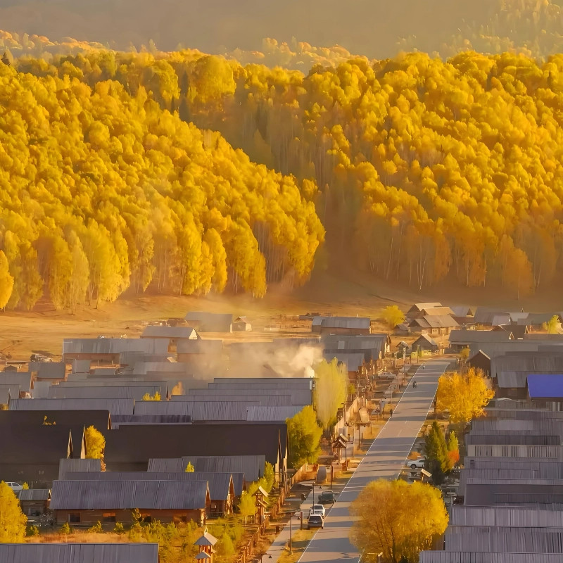 北疆金秋丨阿勒泰出发喀纳斯3日游包车 亲情服务省心游可制定行程