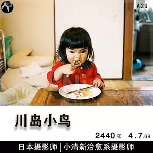 川岛小鸟- Top 100件川岛小鸟- 2024年5月更新- Taobao