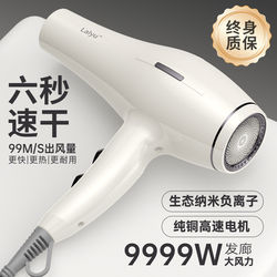 German Hair Dryer Household High-Power Hair Salon Dedicated Barber Shop 9999W Negative Ion Hair Care Quick-Drying Hair Dryer