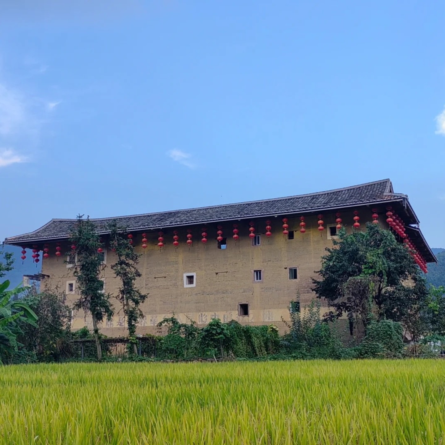 【轻奢纯玩50人上门接送+含午餐】厦门旅游南靖云水谣土楼一日游