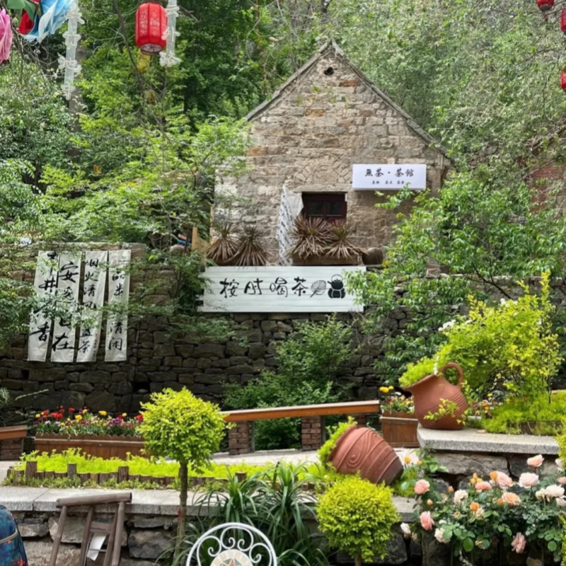 淄博3日2晚·烧烤灵魂三件套·红叶柿岩·八大局&海岱楼