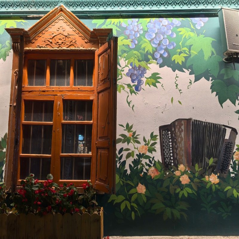 赛里木湖、六星街、喀赞其、霍尔果斯口岸 双动车2日游2人起订