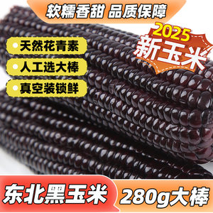
2025 New Corn Northeast Black Glutinous Corn Fresh First Stubble Vacuum Yellow Glutinous Sweet Slime Slime Slime Corn Coarse Grain