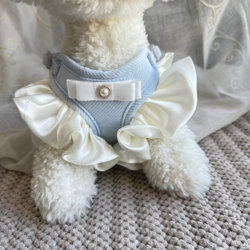 Pet Cat and Dog Harness with Leash, Small Dog Vest-Style Harness, Korean-Style Lace Bow for Walking Dogs and Cats