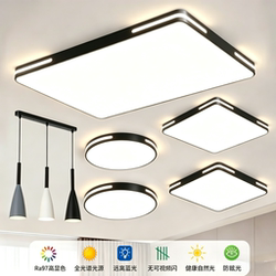 Zhongshan Lighting Ultra-Thin Living Room Lamp Bedroom Lamp Simple Modern Elegant Rectangular Ceiling Lamp Whole House Lighting Package