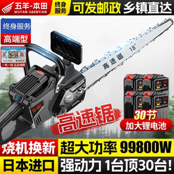 Imported Lithium Battery 30-Cell Rechargeable Electric Chainsaw, High-Power Portable Lithium Chainsaw for Home Use, Logging Saw, Electric Saw for Cutting Trees