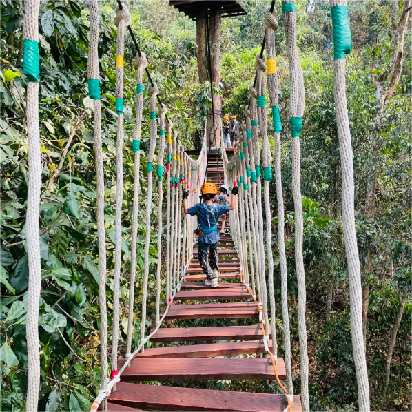 云南西双版纳原始森林公园+曼掌村一日游【探秘热带沟谷雨林】