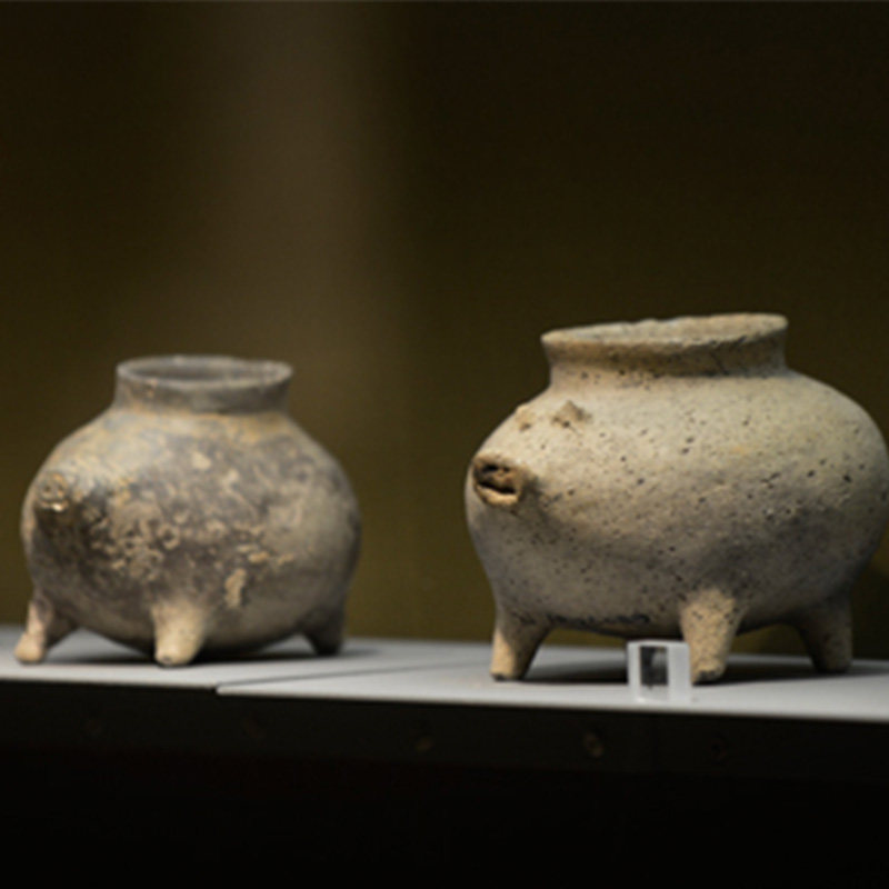 猩咖说南京博物院含门票大咖2-3H小包团人工讲解南京旅游含耳机