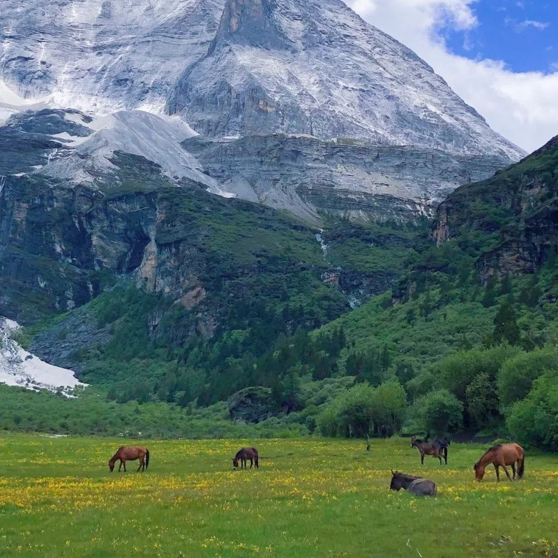 兰州起成都止甘南色达旅游7天6晚扎尕那拉卜楞寺纯玩精品8人团