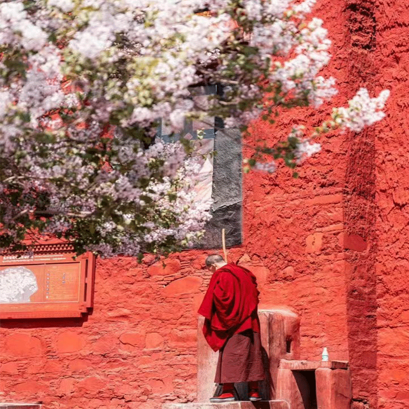 2-8人团 含机票四川成都旅游色达鱼子西四姑娘山川西环线6天5晚