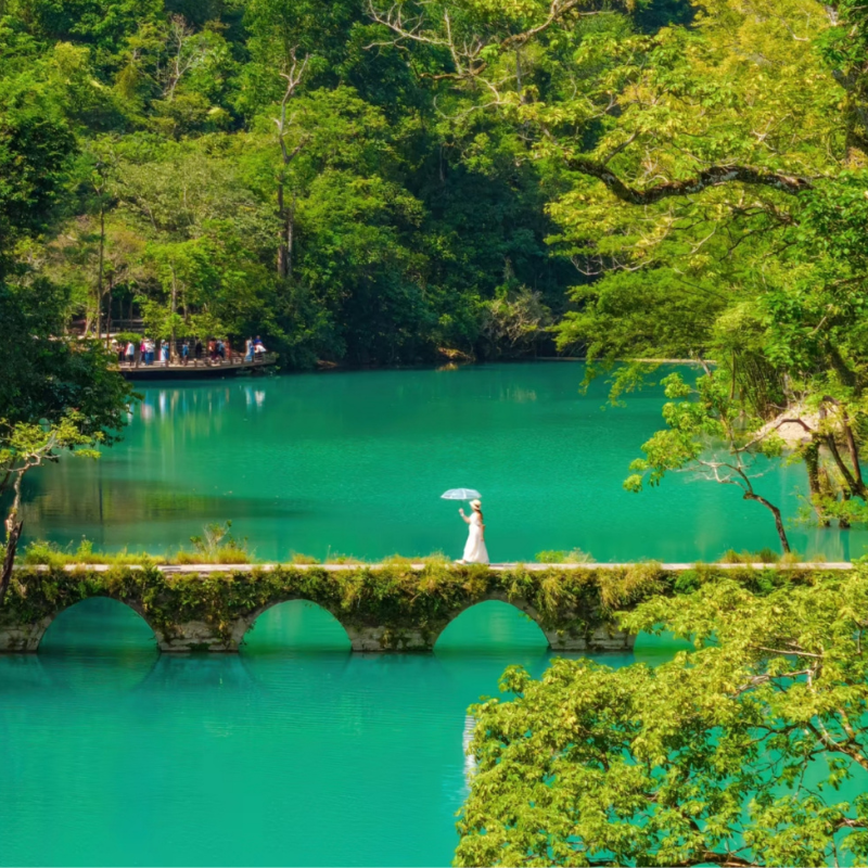 含机票 贵州贵阳旅游黄果树瀑布小七孔西江苗寨纯玩5天4晚跟团游