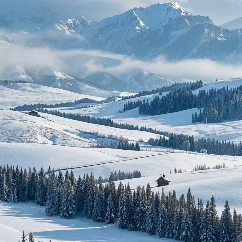 新疆旅游伊犁伊宁那拉提拼车1日游(伊宁起止)