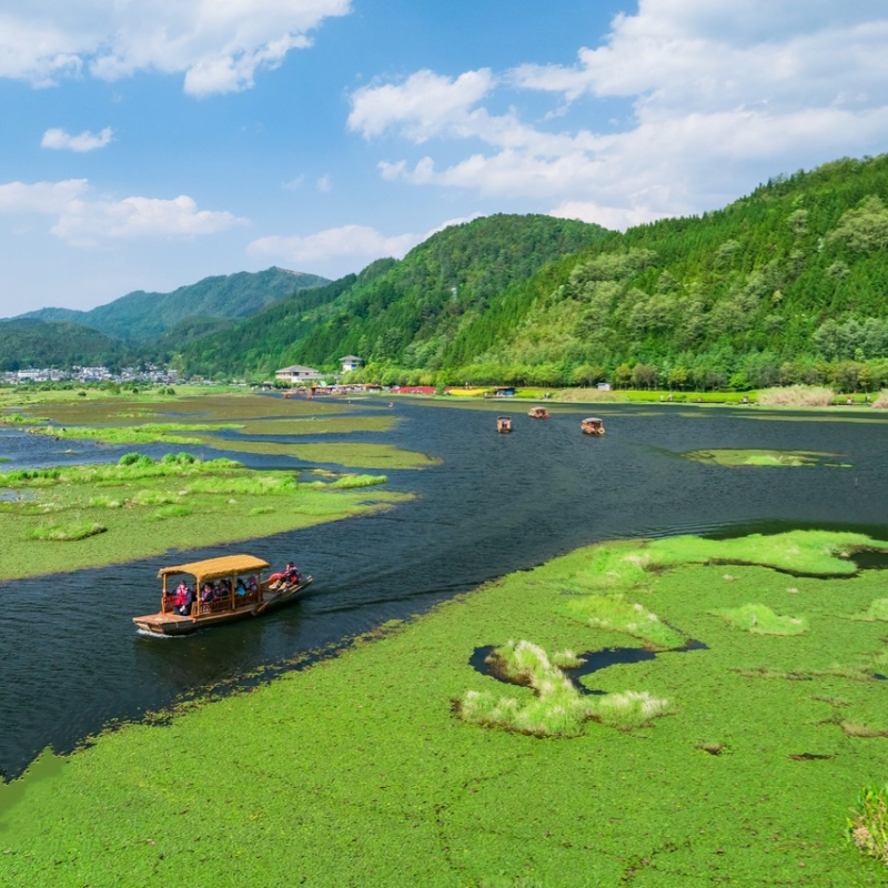 全包0消费云南旅游昆明芒市瑞丽腾冲西双版纳10天9晚当地跟团小团