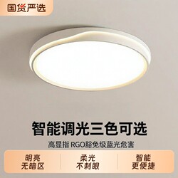 Bedroom Lamp Ceiling Light 2025 New Model Living Room Lamp Modern Simple Led Room Master Bedroom Lighting Dining Room