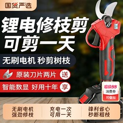 Electric Pruning Shears for Fruit Trees and Gardens, Rechargeable Handheld Lithium Battery High-Power Pruning Tool