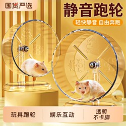 Silent Running Wheel for Golden Hamsters, Transparent Printed Design, Large Diameter, Non-Stuck Feet, Interactive Cage Toy for Gerbils