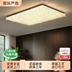 Gujiayi Italian-Style Minimalist Rectangular Ultra-Bright High-End Acrylic Creative 2025 New Model Living Room Ceiling Light