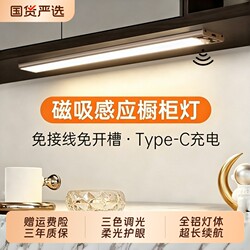 Led Sensor Light Strip Cabinet Light Wine Cabinet Light Rechargeable Human Body Sensor Light Wireless Self-Adhesive Kitchen Shoe Cabinet Wardrobe Light