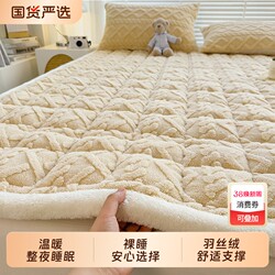 Class a Milk Velvet Soft Mattress, Thickened Mattress Pad, Winter Tatami Single Bed Base, Coral Fleece Mattress Foldable