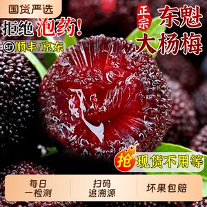 
SF Free Shipping Authentic Dongkui Big Bayberry Granules Packed Seasonal Freshly Picked Fruits for Pregnant Women Full Box Free Shipping