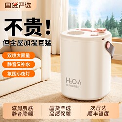 Dual Nozzle Large Capacity】2025 New Model Humidifier for Home Use, Small and Quiet, USB for Bedroom, Suitable for Pregnant Women and Babies, Portable for Office Desktop, Dormitory, Girls, Students, Air-Conditioned Rooms, Mini Mist Sprayer