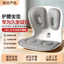 Ergonomic Chair with Lumbar Support for Adults, Cushion for Prolonged Sitting, Anti-Hunchback Support