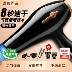 Hair Dryer for Home Use, Strong Wind, Negative Ion Hair Care, High-Power Hair Dryer for Hair Salons, 3524, Silent and Quick-Drying