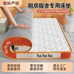 Four-Season Thickened Mattress for Home Use, Soft Cushion for Bedroom, Dormitory Bed Pad, Single/Double, Foldable, Suitable for Rental Apartments