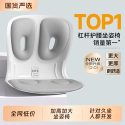 Oes Waist-Protecting Cushion and Backrest Integrated Office Ergonomic Large Chair for Long Sitting Without Fatigue, a Waist-Protecting Miracle