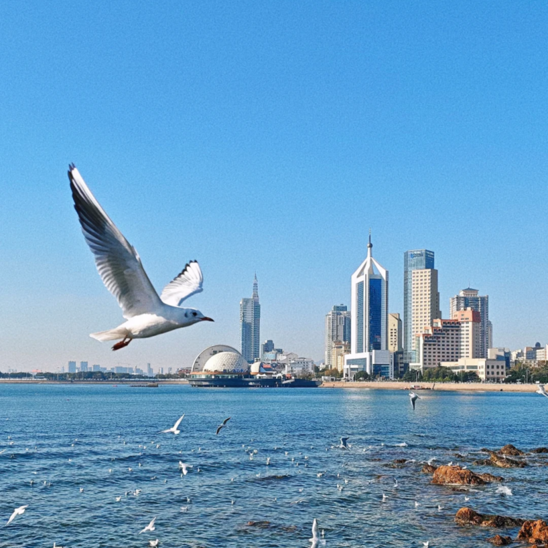 私家团经典半岛5日游3大5A崂山仰口/蓬莱阁/刘公岛/烟台山/东炮台