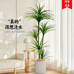High-End Luxury Artificial Green Plant, Dragon Blood Tree, Large Indoor Living Room Faux Plant, Potted Floor-Standing Decoration