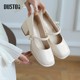 Dadong French single shoes women's 2025 new summer shoes beautiful Mary Jane high heels thick heels with skirt women's shoes