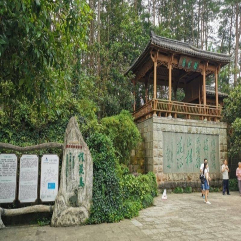 『升级4晚舒适酒店』苏州+乌镇西栅+杭州+普陀山+千岛湖6日游