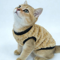 Cat Fleece Vest Autumn and Winter Warm Anti-Shedding Vest Pet Clothing Hairless Cat Clothes Small Dog Clothing