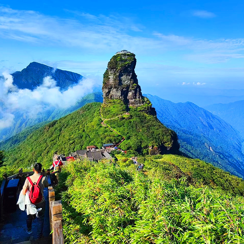 贵州旅游纯玩团梵净山一日游 蘑菇石红云金顶 飞猪旅行贵阳跟团游