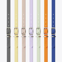 Hiay Pet Collar with Dopamine Dog Collar for Small, Medium, and Large Dogs, Waterproof and Easy to Clean, for Walking Dogs